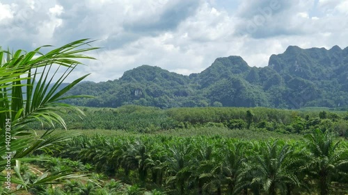 Wallpaper Mural Landscape with Rainforest of Khao Sok National Park in Thailand, 4k
 Torontodigital.ca
