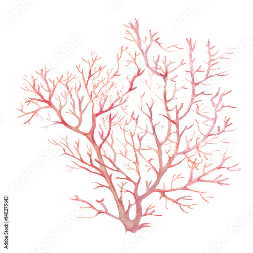 A collection of colorful sea coral. Figure handmade watercolor