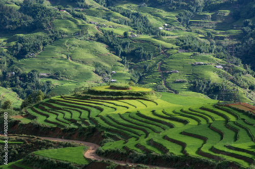 Green Terraced Rice Field © mungkornz