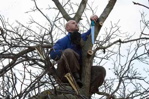 Gardener in a blue dress with a saw in his hand sits on a high tree in the early spring