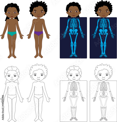 Boy and girl unclothed. Kids bodies by X-ray. Educational coloring book for kids