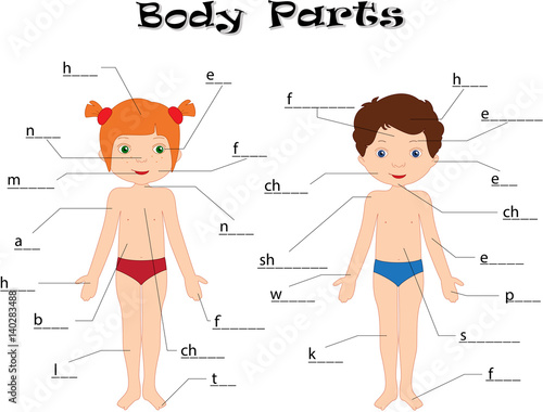 Boy and girl. Body parts, anatomy