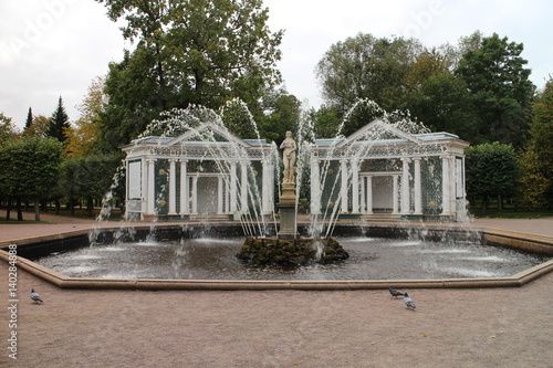 Fountain  Grand Peterhof Palace  Russia