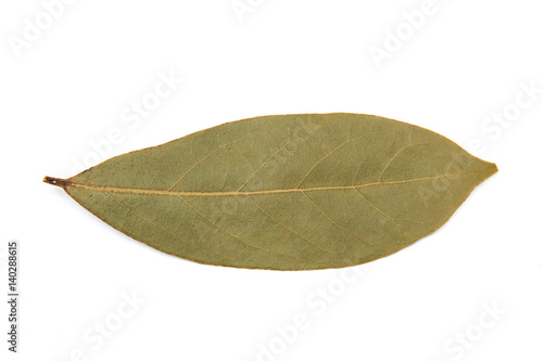 Bay laurel (Laurus nobilis) Leaf © dennisjacobsen