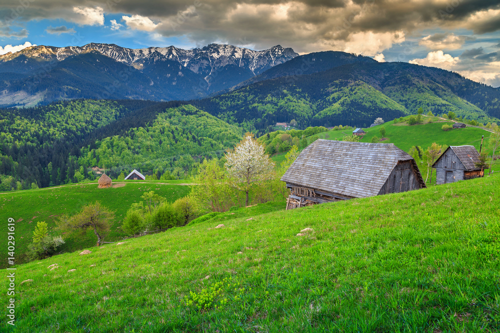 Summer rural landscape and wilderness near Brasov, Transylvania, Romania, Europe