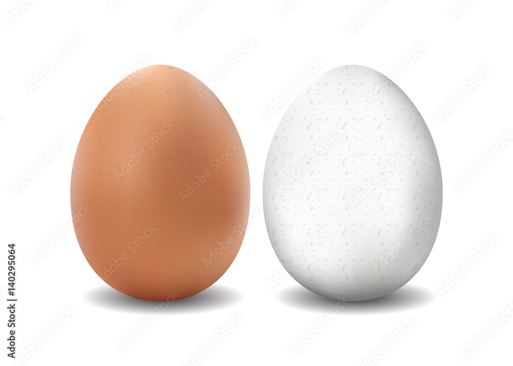 Two isolated vector realistic white and brown eggs on white background Two isolated vector realistic white and brown eggs on white background