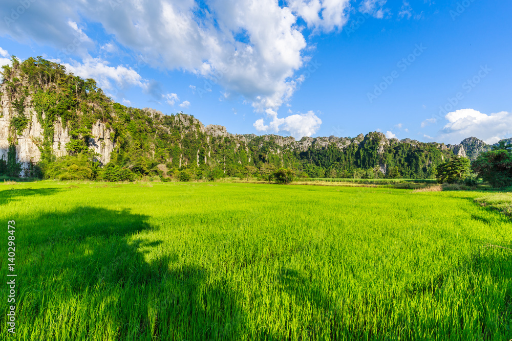 Limestone Mountain and Rice Field