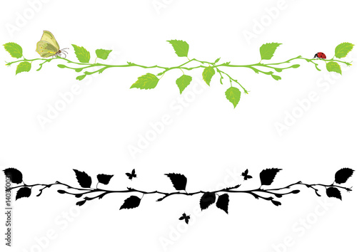 set of dividing with birch tree