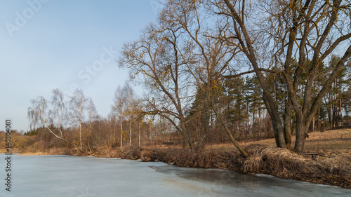 Winter-spring landscape. View of the coast of a frozen lake with trees and bushes
