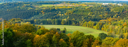 Autumn forest from a bird's eye view photo