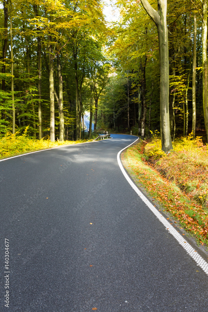 Fototapeta premium Asphalt road in the forest