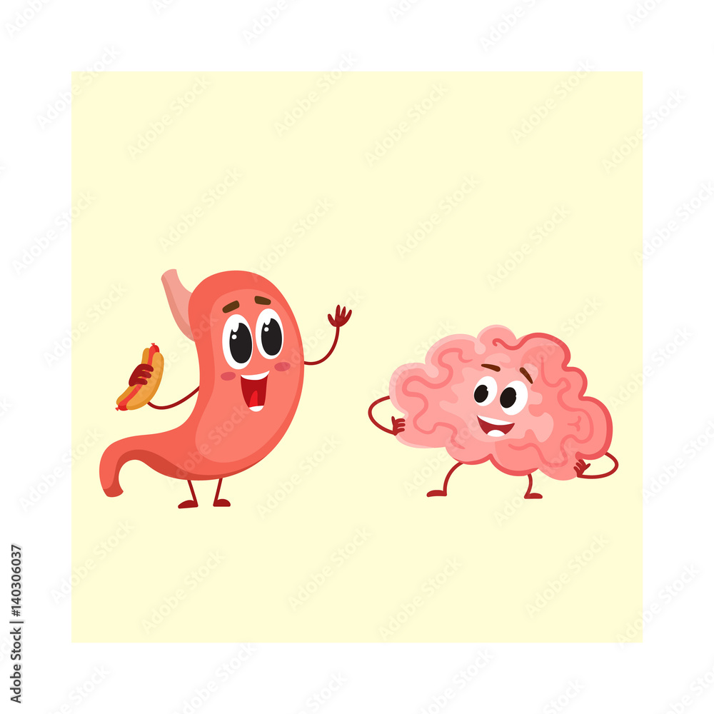 Cute and funny human stomach and brain characters, cartoon vector illustration isolated on white background. Healthy human stomach and brain characters, brain to stomach connection concept Cute and funny human stomach and brain characters, cartoon vector illustration isolated on white background. Healthy human stomach and brain characters, brain to stomach connection concept