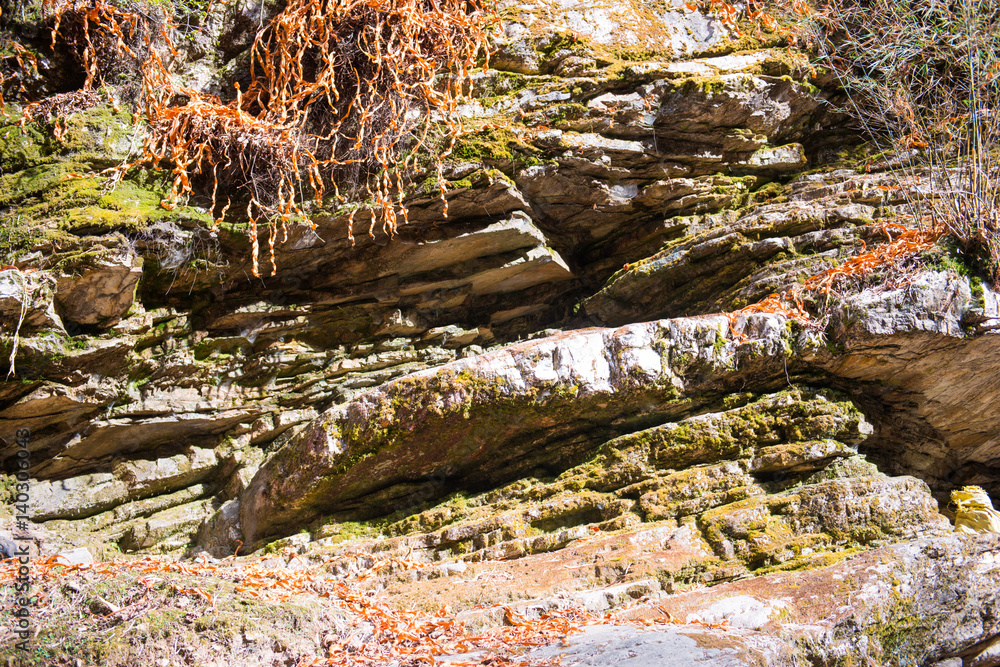 Fototapeta premium beautiful rock on the way to Annapurna base camp