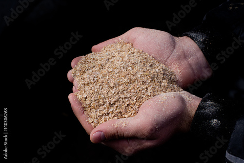 Wheat bran in peasant's hands