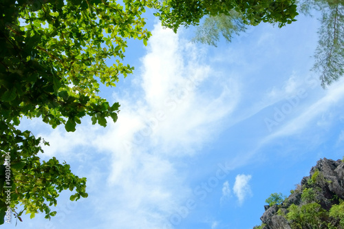 Fototapeta Naklejka Na Ścianę i Meble -  Blue Sky, White Cloud and Green Tree. Beautiful Nature Background