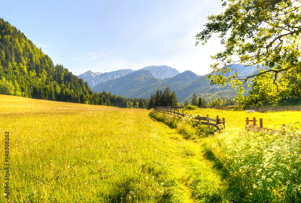 Path to nature view in Ferlach, Austria