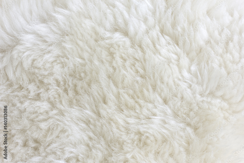 Fur Texture./Fur Texture Fur Texture./Fur Texture