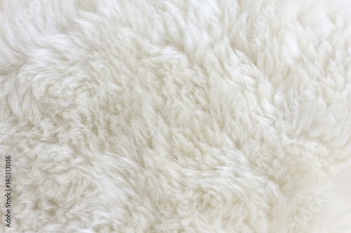 Fur Texture./Fur Texture 