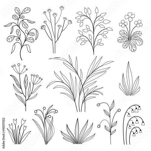 floral vector collection