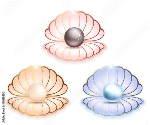 Sea shells with large pearls logo icons in gold-framed illustration white background
Blue, pink and gold sea shells with black, blue and gold pearls