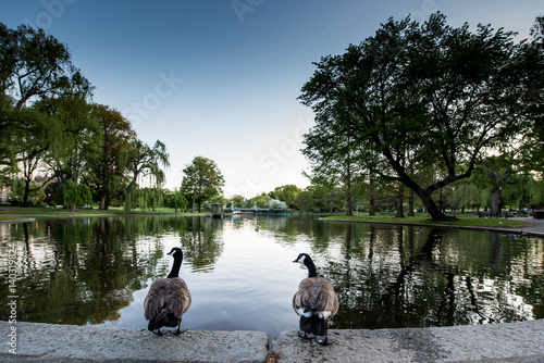 Boston Public Garden in Spring