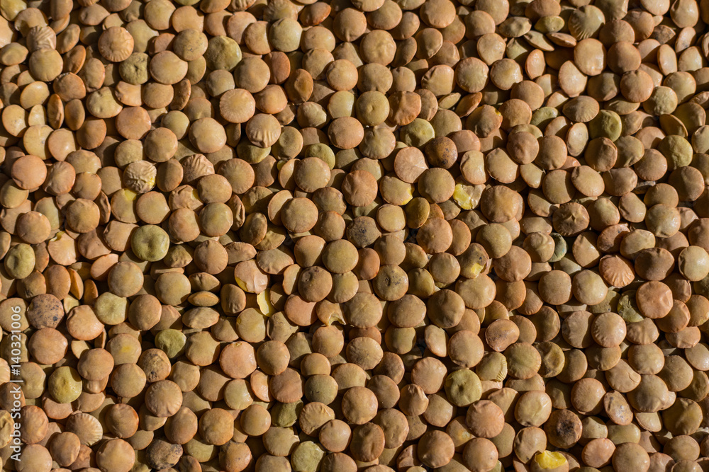 Lentil grains macro closeup texture Lentil grains macro closeup texture