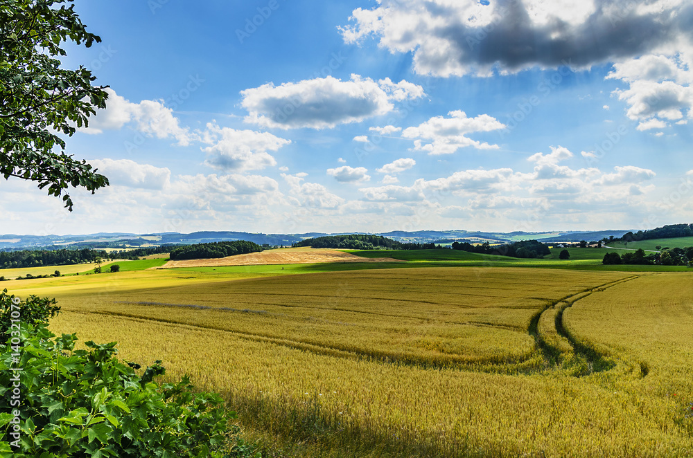 Fototapeta premium Feld und Wiesen