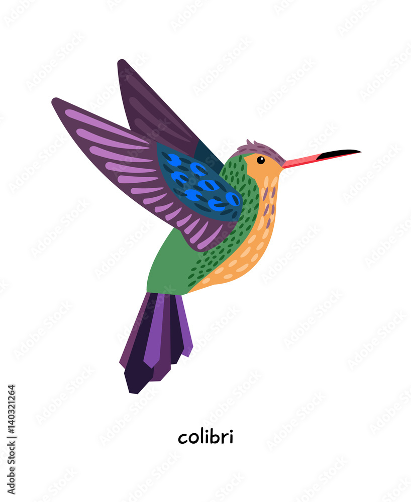 Obraz premium Colibri - very small amazing birds, resemble bees.
