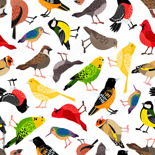 Seamless pattern with birds