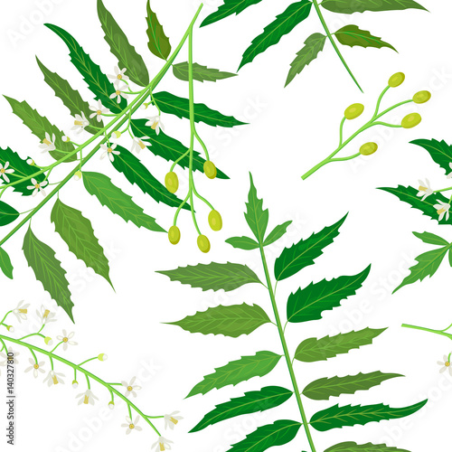 Neem or nimtree seamless pattern vector