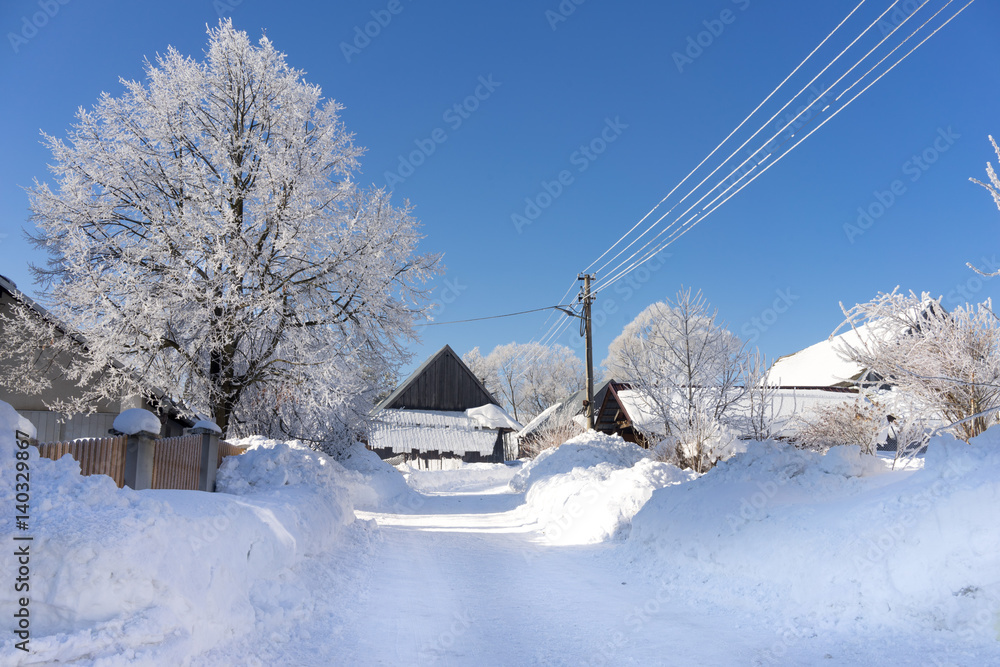 winter snow freezing country landscape tree north winter snow freezing country landscape tree north