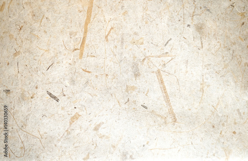 warm white rice mulberry flower rough paper petal and seed texture / recycle paper / craft or hand made paper / natural and eco friendly material