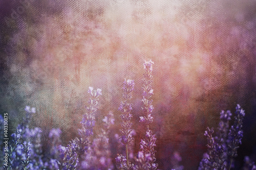 Fototapeta Naklejka Na Ścianę i Meble -  lavender flowers background with textures
