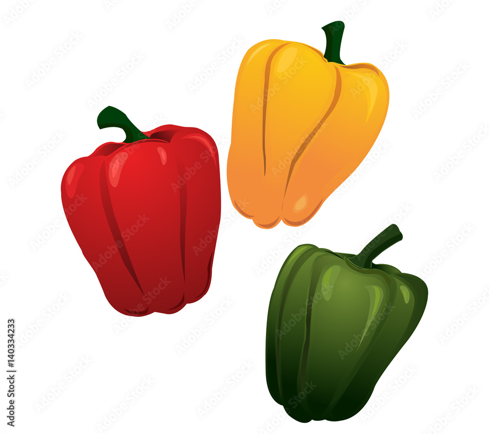 Paprika Isolated on White. Vector Paprika Isolated on White. Vector