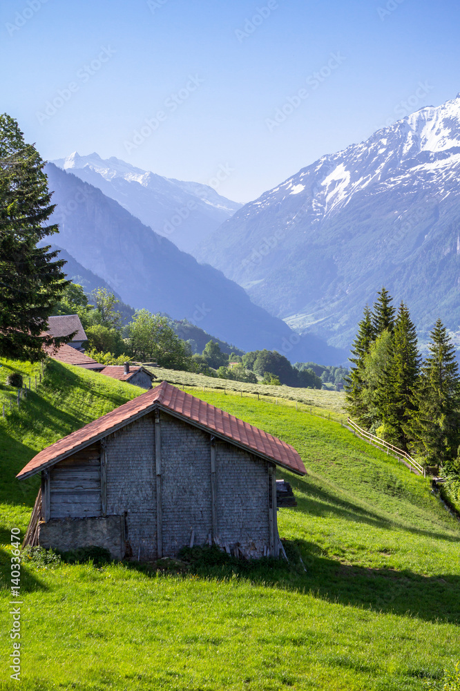 Idyllic landscape in the Alps