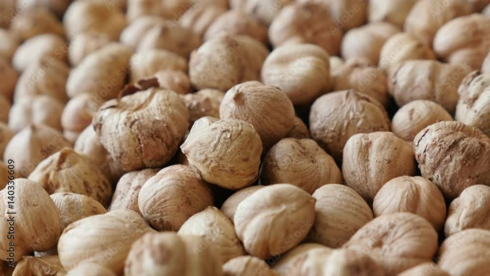 Raw common hazelnuts close-up 4K 2160p 30fps UltraHD panning footage - Shallow DOF Corylus avellana cob fruit 3840X2160 UHD slow pan video Raw common hazelnuts close-up 4K 2160p 30fps UltraHD panning footage - Shallow DOF Corylus avellana cob fruit 3840X2160 UHD slow pan video