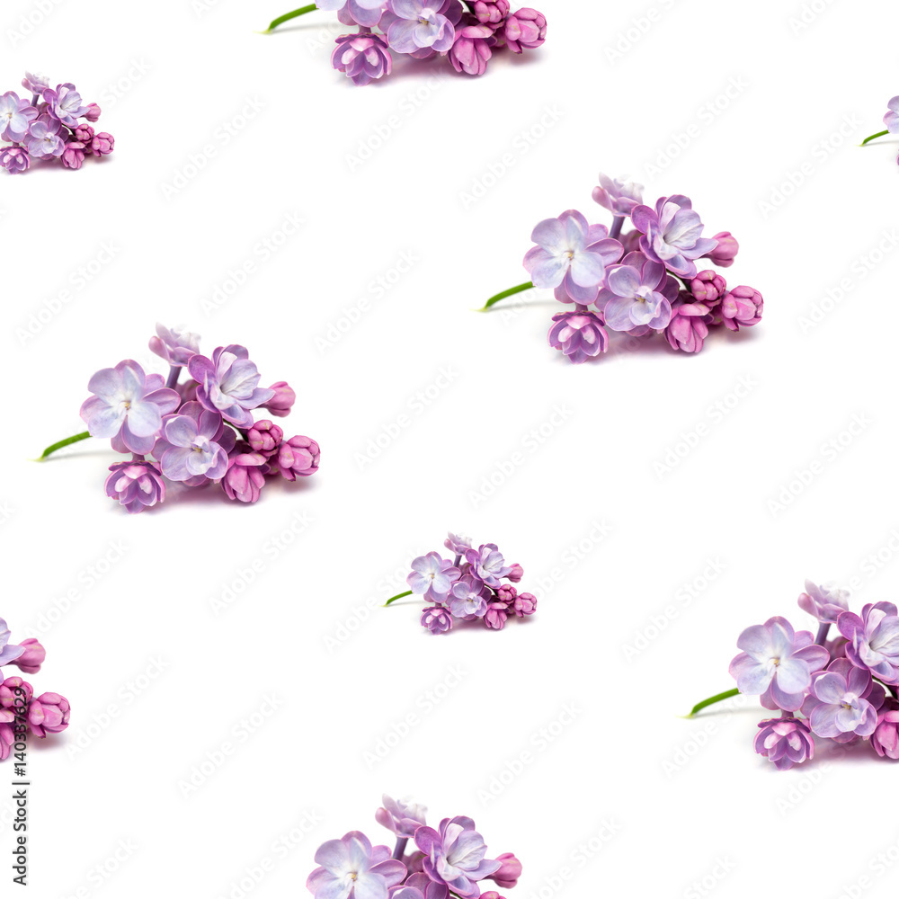 Seamless background with lilac flowers on white