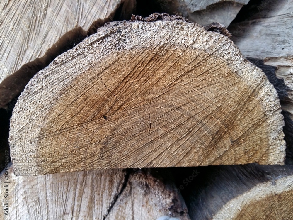 cut wood texture