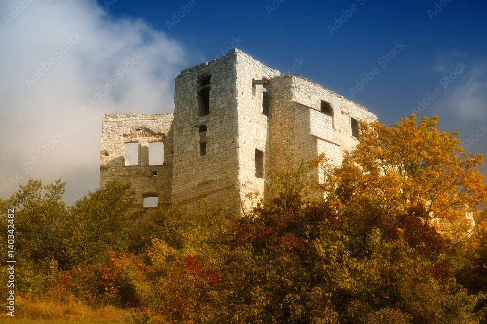 Ruins of the castle in Kazimierz Dolny. Poland.