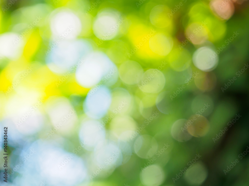 nature background with bokeh light nature background with bokeh light