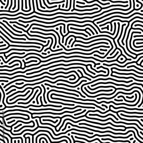 Abstract background of vector organic irregular lines maze pattern