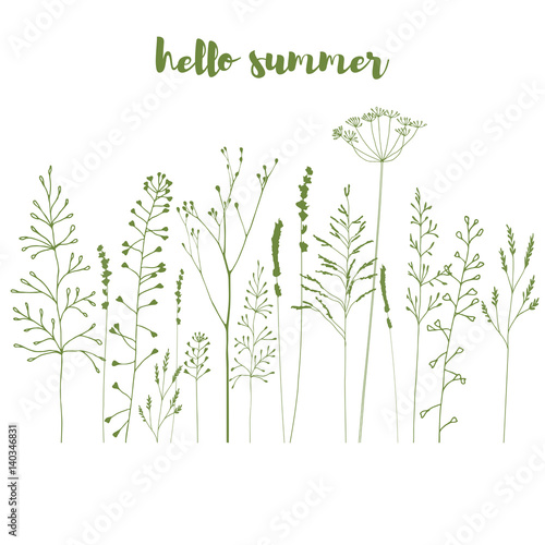 Floral background with meadow grasses, plants and flowers outlines.
