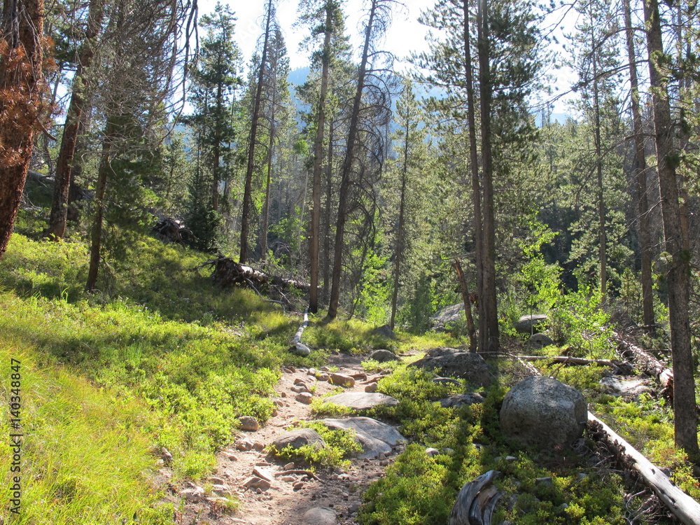 Enroute to Pawnee Lake in Indian Peaks Wilderness Enroute to Pawnee Lake in Indian Peaks Wilderness