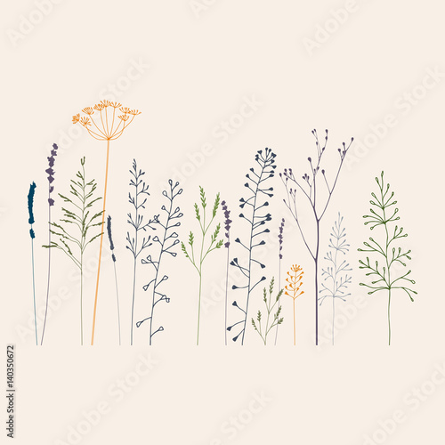 Floral vector background with hand drawn  wild flowers, herbs and grasses in ...