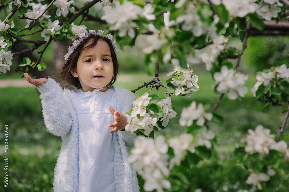 adorable toddler child girl in light blue dressy outfit walking and playing in blooming spring cherry garden adorable toddler child girl in light blue dressy outfit walking and playing in blooming spring cherry garden