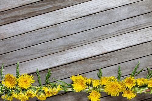 Spring background. Wreath of dandelion fresh flowers on a wooden background. Copy space.