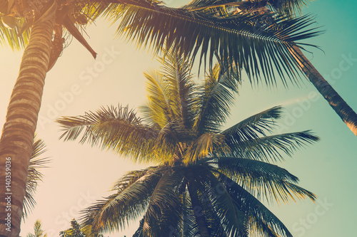 Coconut palm tree on beach and blue sky with vintage toned style.