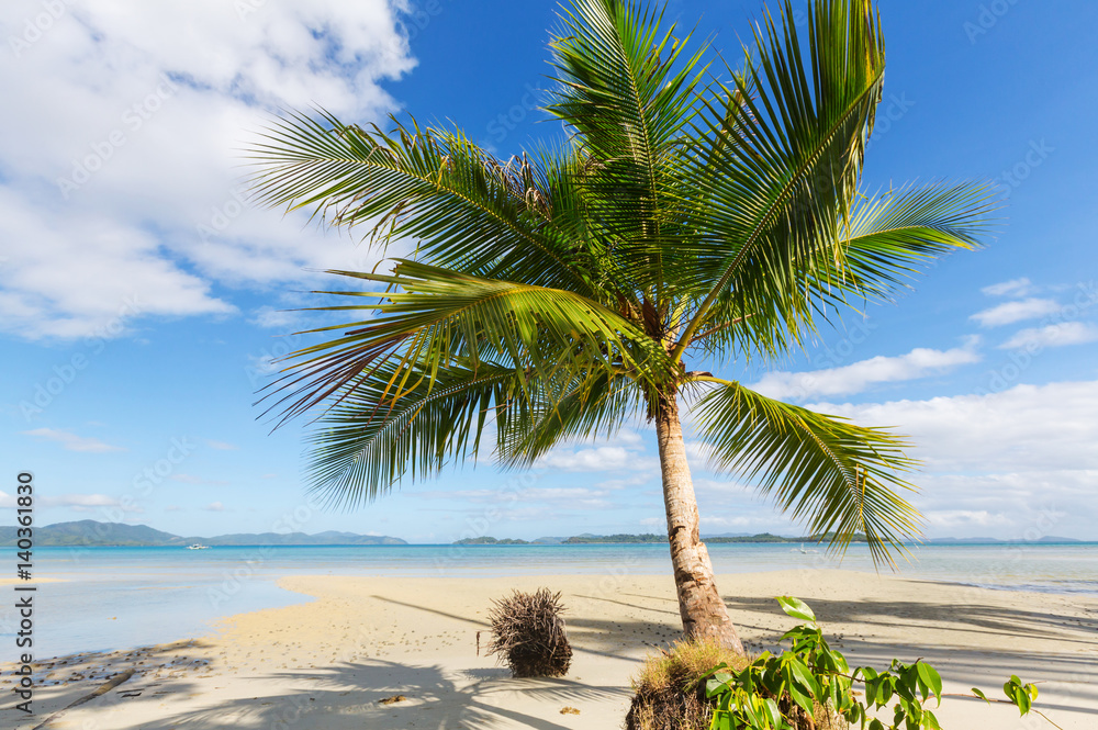 Fototapeta premium Tropical beach