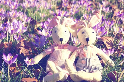 Osterhasen auf Frühlingswiese