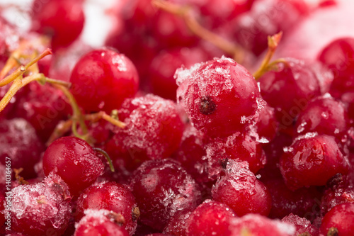 frozen berries red currant, macro